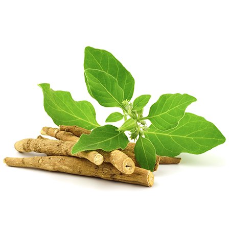 Benefits of Ashwagandha
