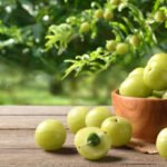 Benefits of Amla