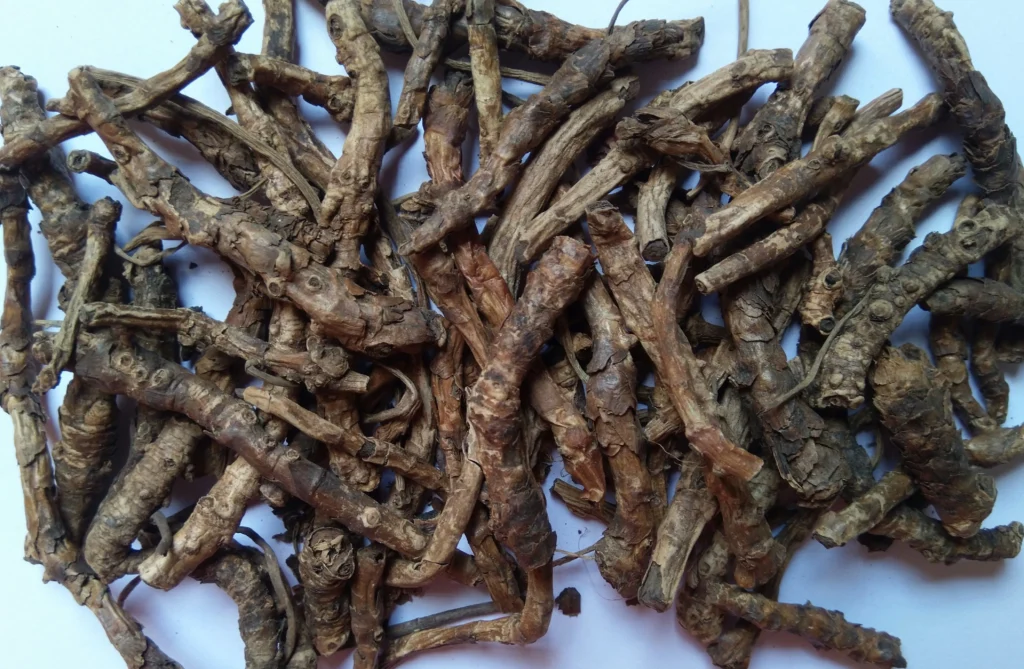 Benefits of Kutki