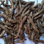 Benefits of Kutki