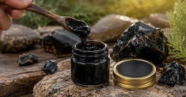 Benefits of Shilajit