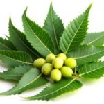 Benefits of Neem